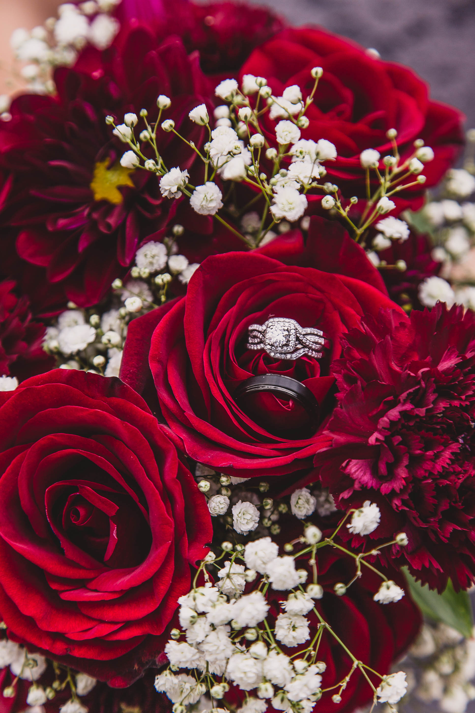 Amber & De wedding — portrait by Sun Prairie Photo